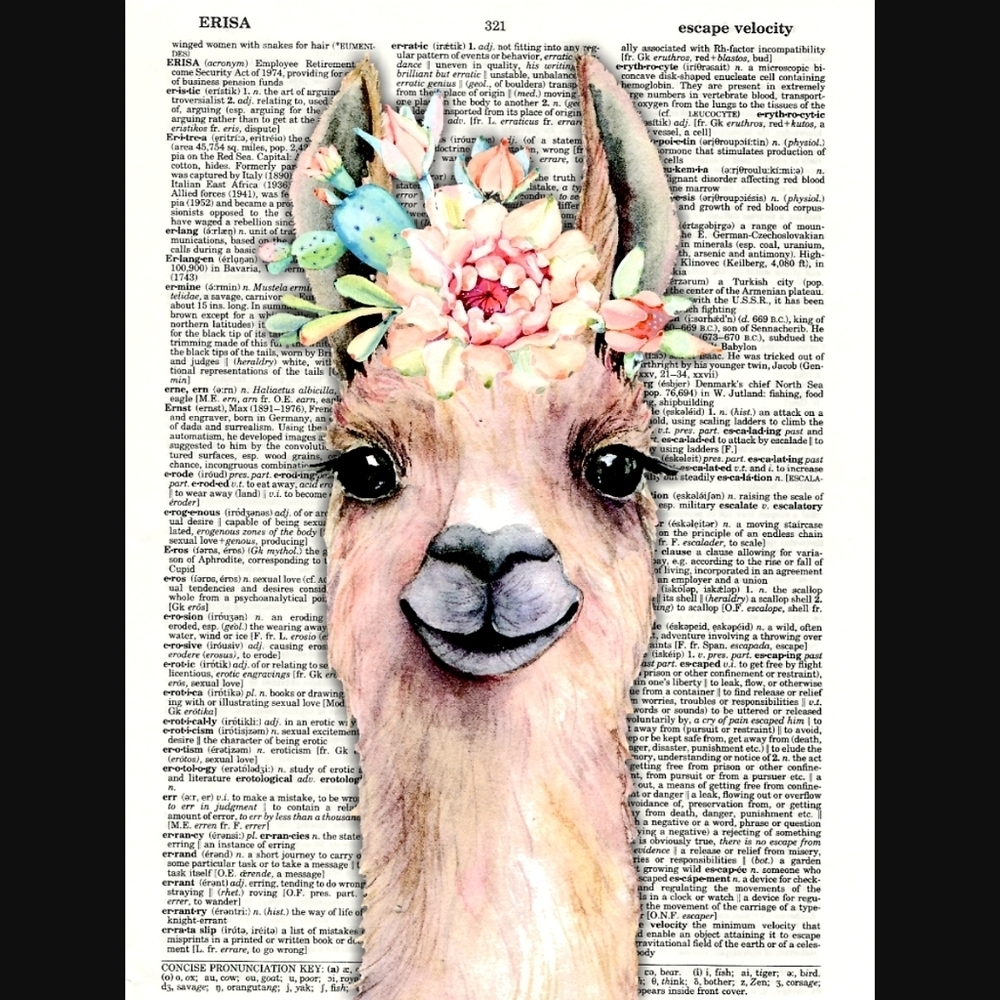 Llama Alpaca Succulent Dictionary Art Print